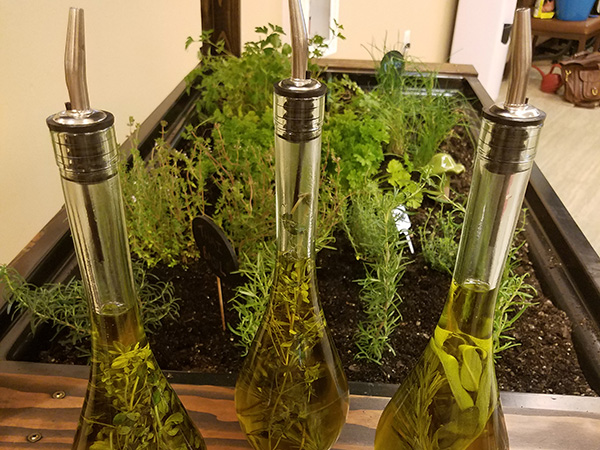 Culinary-Herb-Garden-Gifts